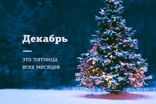 Чего я жду от праздника нового года Чего я жду от праздника нового года